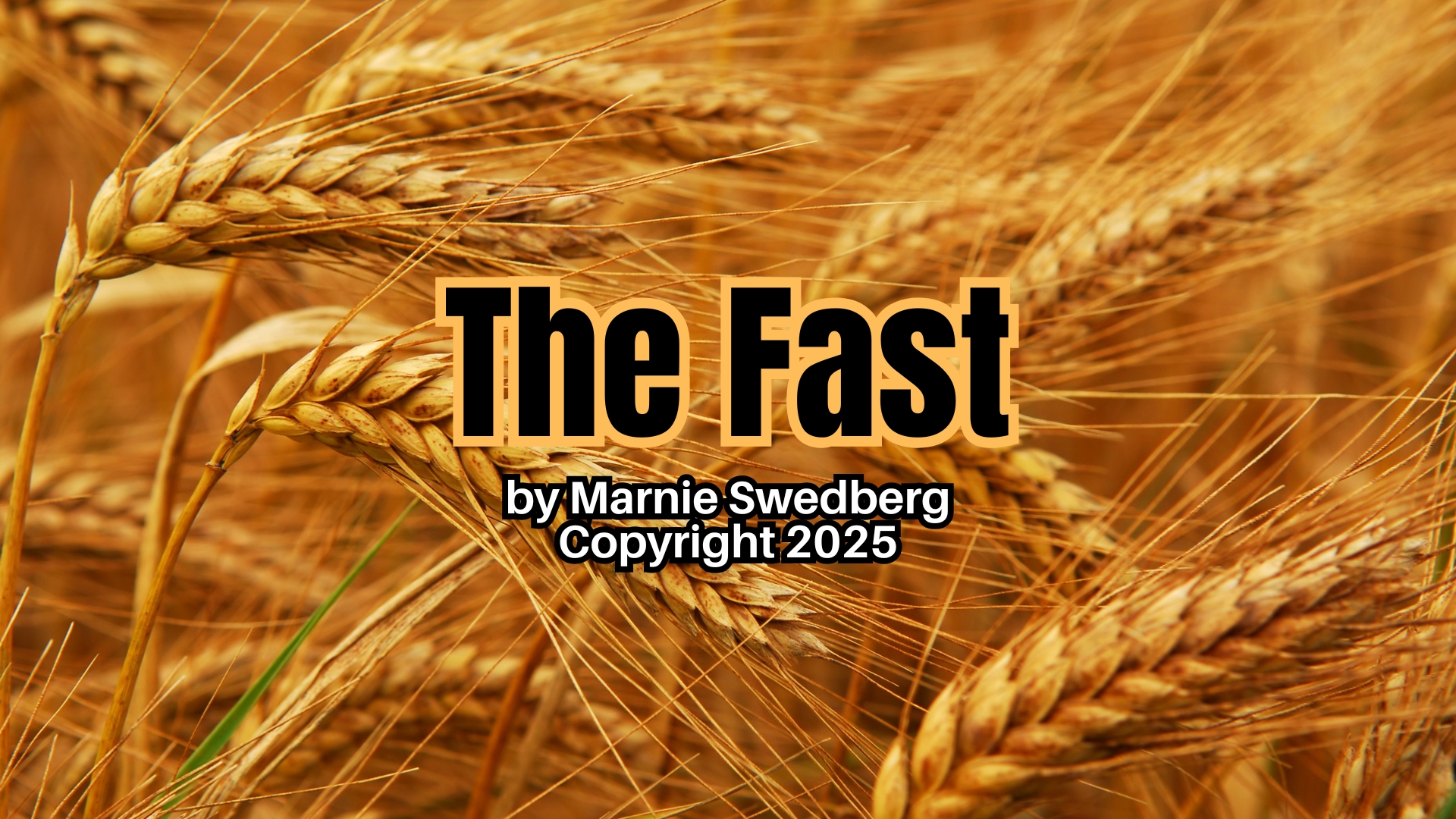 The Fast Cover Image